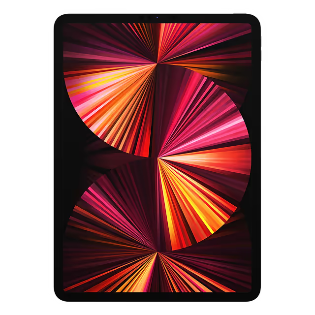 iPad Pro 11 Inch (3rd Gen)